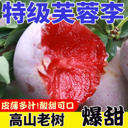 三华李红心李子新鲜福建古田芙蓉李半边红孕妇水果脆红李5斤整箱