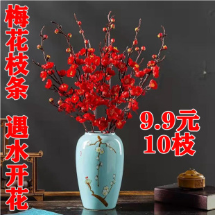 鲜枝梅花桃花枝条遇水开花水培水养鲜切花室内办公桌阳台易开花花