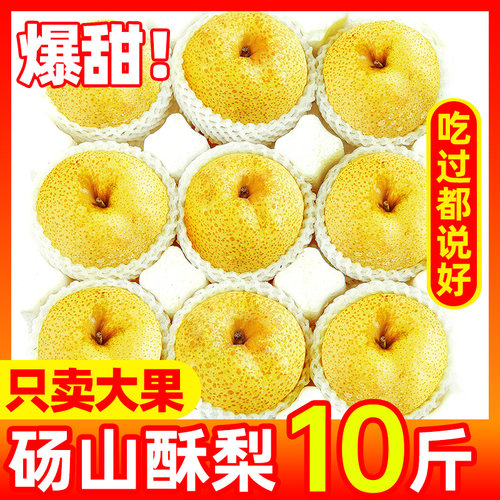 梨子新鲜10斤水果当季安徽砀山梨