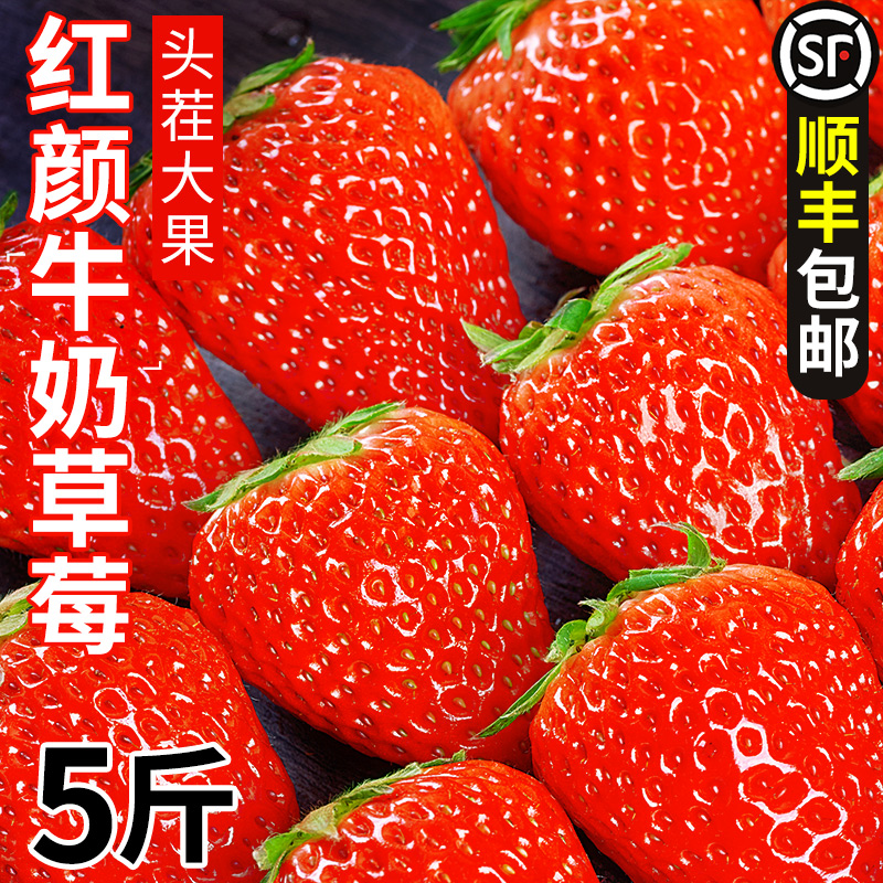 【官方甄选】正宗红颜大草莓新鲜