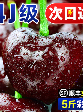智利车厘子5斤新鲜水果当季整箱包邮孕妇进口樱桃4j3特大果礼盒装
