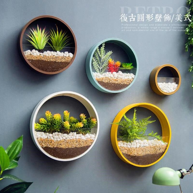 多肉植物墙饰价格 多肉植物墙饰图片 星期三