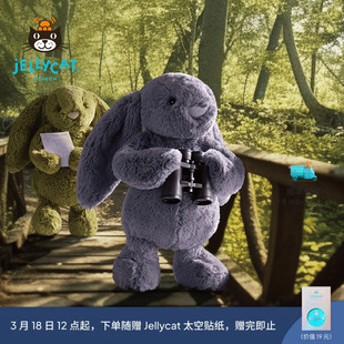 英国Jellycat害羞紫罗兰邦尼兔毛绒玩具兔子玩偶公仔娃娃生日礼物