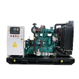 燃气发电机组 30千瓦400 500kw液化石油气发电机组 养殖厂备用发