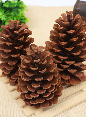 超大松果干花圣诞松果装饰品松塔干花DIY手工材料松球松塔美国松