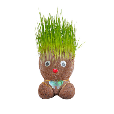 速发草头娃娃小盆栽种植物浇水长头发迷你绿植头上长草人儿童观察