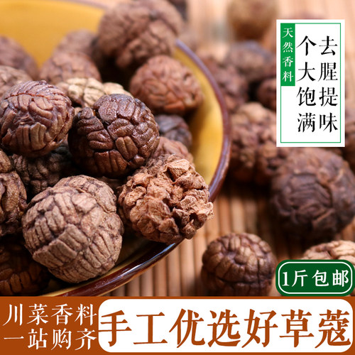 老蔻草寇草扣老扣豆蔻