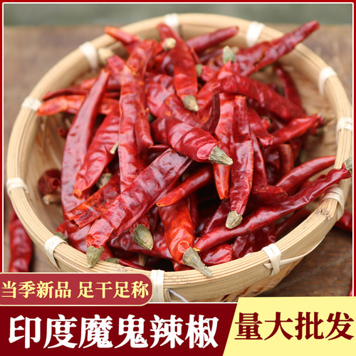 印度特辣干辣椒魔鬼椒菇豆农调料