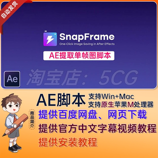 AE脚本一键导出当前帧保存为图片工具提取图片AE插件 SnapFrame