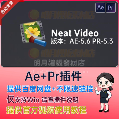 PR/AE插件-专业视频去噪降噪插件 Neat Video Pro 5.6.0 WIN