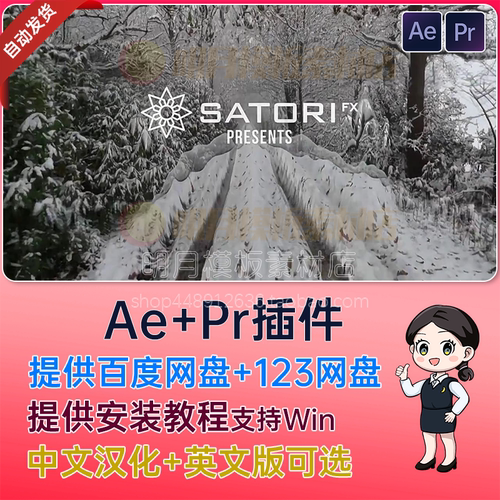 中文汉化AE/PR插件像素融合图像扭曲视觉特效 Pixel Melt  Win