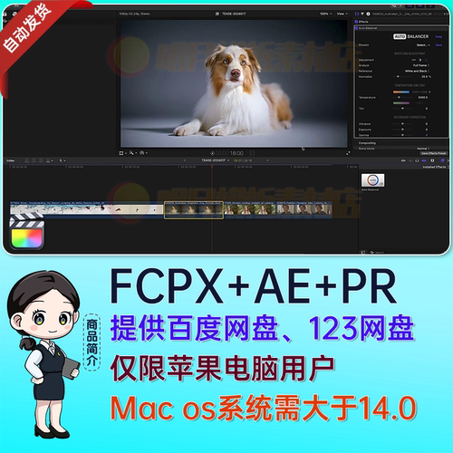 Final Cut Pro色温色调自动白平衡FCPX中文插件Auto Balancer M1