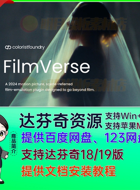 FilmVerse Full Plugin V2.1达芬奇DCTL调色插件电影胶片调色节点