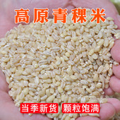 藏地青稞米高原粗粮健康营养丰富煮粥做饭五谷杂粮食用