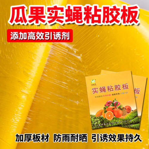 果实蝇诱粘板诱捕贴针蜂粘虫板