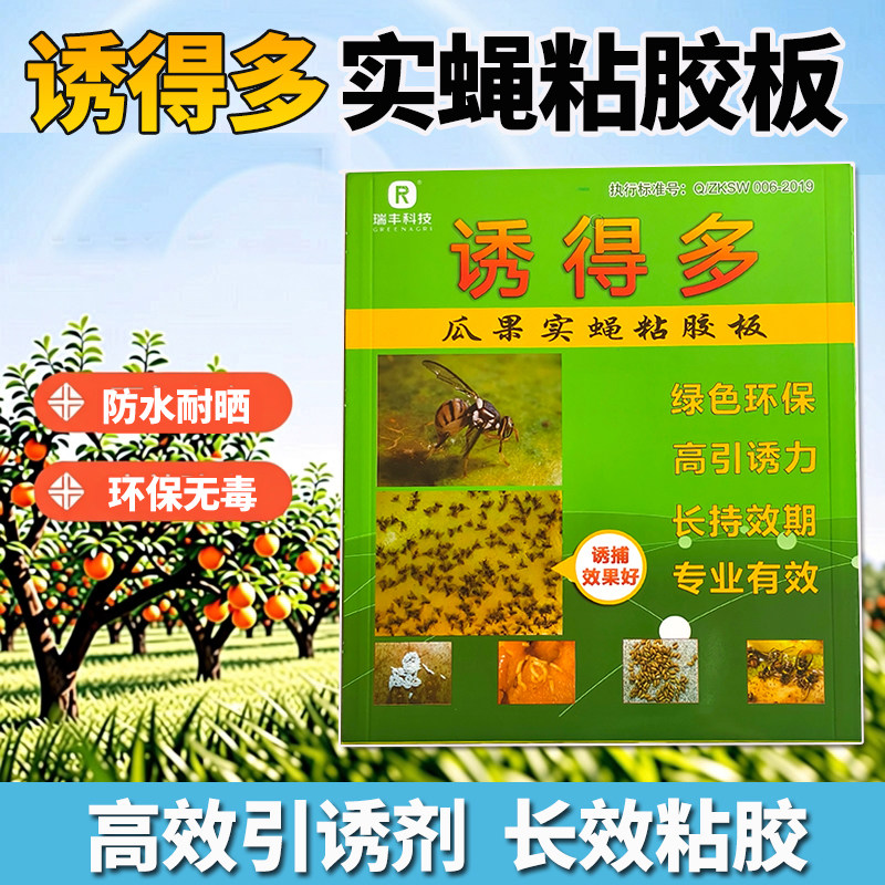 诱得的多瓜果实蝇粘胶板果蝇贴针蜂粘板果园苍蝇贴大实蝇诱捕诱粘