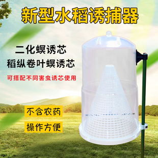 稻纵卷叶螟诱芯二化螟诱捕器诱虫器捕虫器水稻田诱饵三化螟信息素