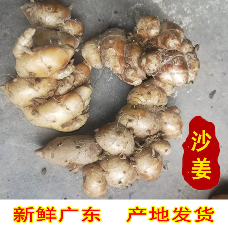 新鲜沙姜正宗广东化州山奈砂姜三赖生姜白切椰子鸡猪脚调味料可种,水产肉类/新鲜蔬果/熟食,生姜/南姜,淘宝优惠券,粉丝福利购,淘宝优惠卷