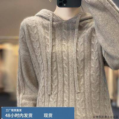 韩版宽松羊毛针织打底衫毛衣2025秋冬新款套头加厚连帽羊绒卫衣女