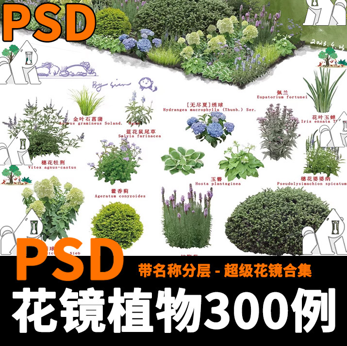 2024花境植物高清ps花镜花卉花坛花境设计展板效果图psd素材分层