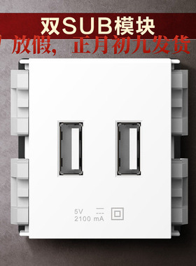 正泰墙壁开关插座120型 NEW9E幻银 2100MA 5V双USB插座模块面板