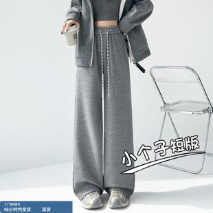 糯米裤女小个子秋冬高腰加绒直筒裤子松弛感宽松灰色休闲阔腿裤xs