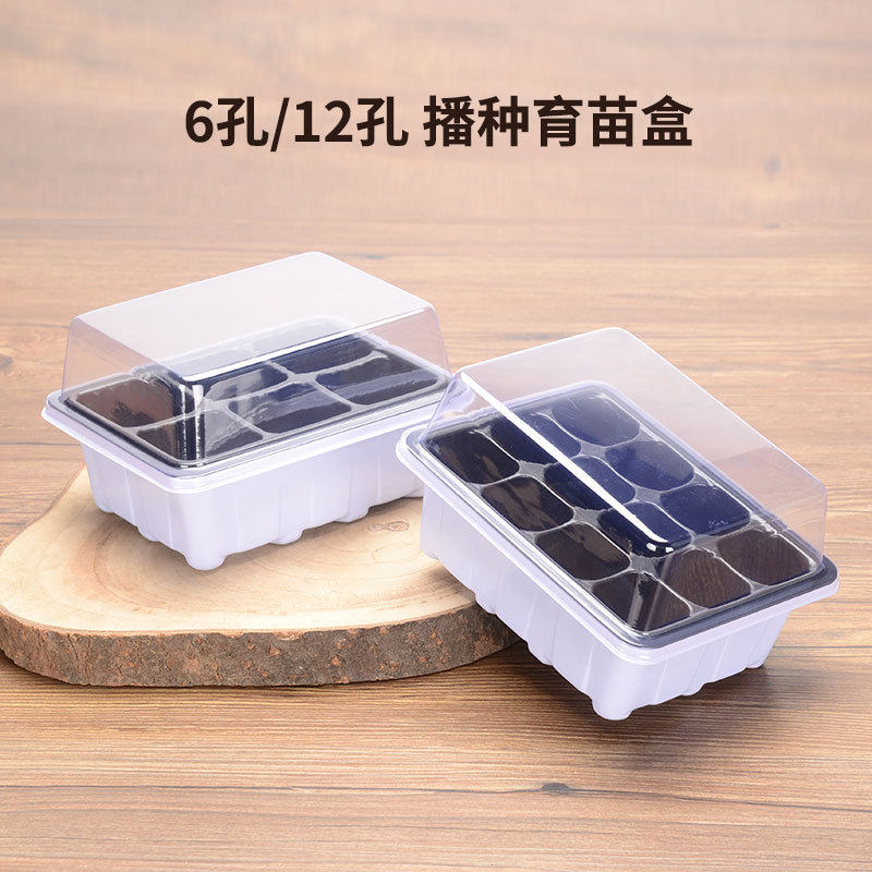 扦插育苗穴盘育苗神器专用盆营养杯塑料钵长方形托盘芽菜盒箱苗盘
