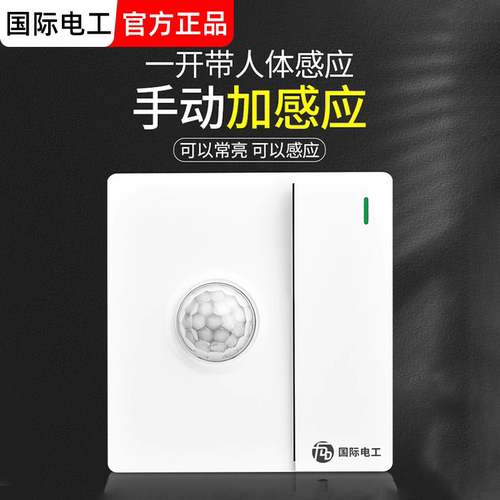 国际电工86型一开加人体感应