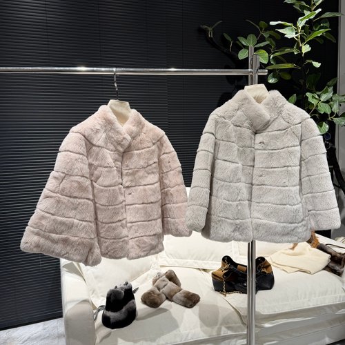 『珍珠兔』雷克斯獭兔毛斗