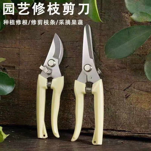 园艺剪修枝剪花剪园林剪刀花艺剪剪树枝果树剪刀枝剪修剪花卉剪子