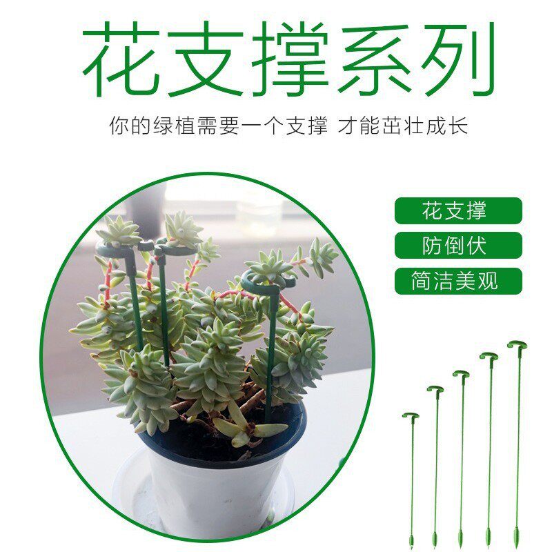 植物支撑杆花支架花卉绿植天堂鸟盆栽龟背竹支撑架海芋固定防倒