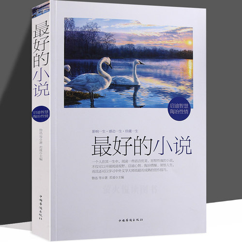 文学作品华侨出版完整无删减