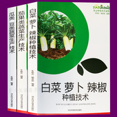 蔬菜种植栽培大全 塑料大棚蔬菜栽培技术 新农村系列 病虫害防治 农作物书籍 大白菜黄瓜辣椒茄子番茄豆角萝卜种植书 现货