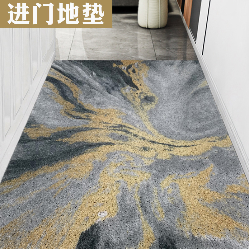 丝圈进门地垫轻奢出入踩脚垫门厅