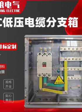 全透明塑料PC低压电缆分支箱T接箱电缆分支箱玻璃钢电缆分接箱