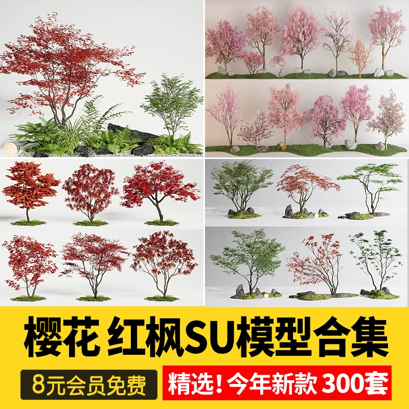 樱花枫树红枫鸡爪槭羽毛枫日式景观园林植物造型树su模型草图大师