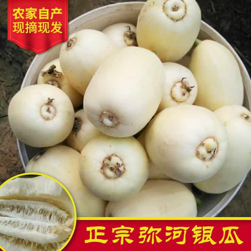 青州弥河大关营银瓜甜瓜山东青州特产火银瓜现摘发3斤新鲜水果