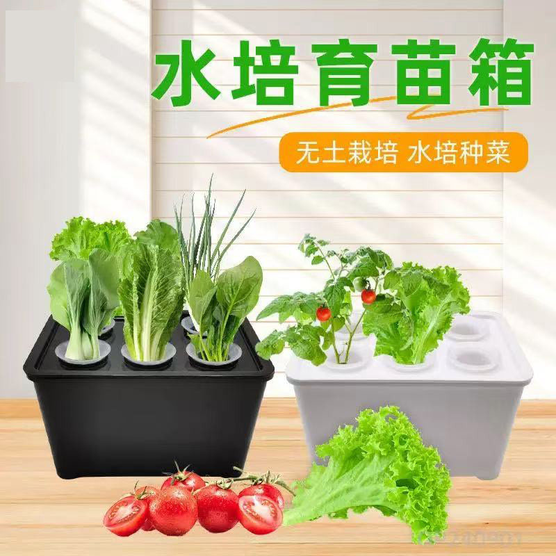 花卉绿植桌面水培种植箱家庭多样化器皿室内无公害无土栽培简约