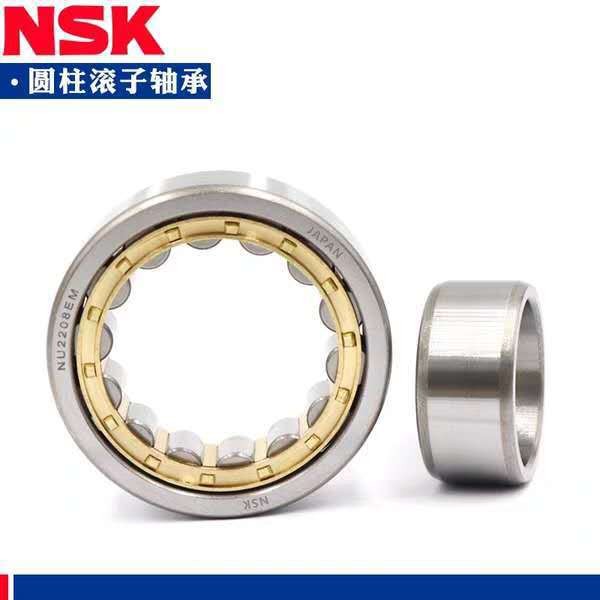 NSK轴承RN 303 304 305 306 307 308 309 310 311 312/EM/EW/ET/3