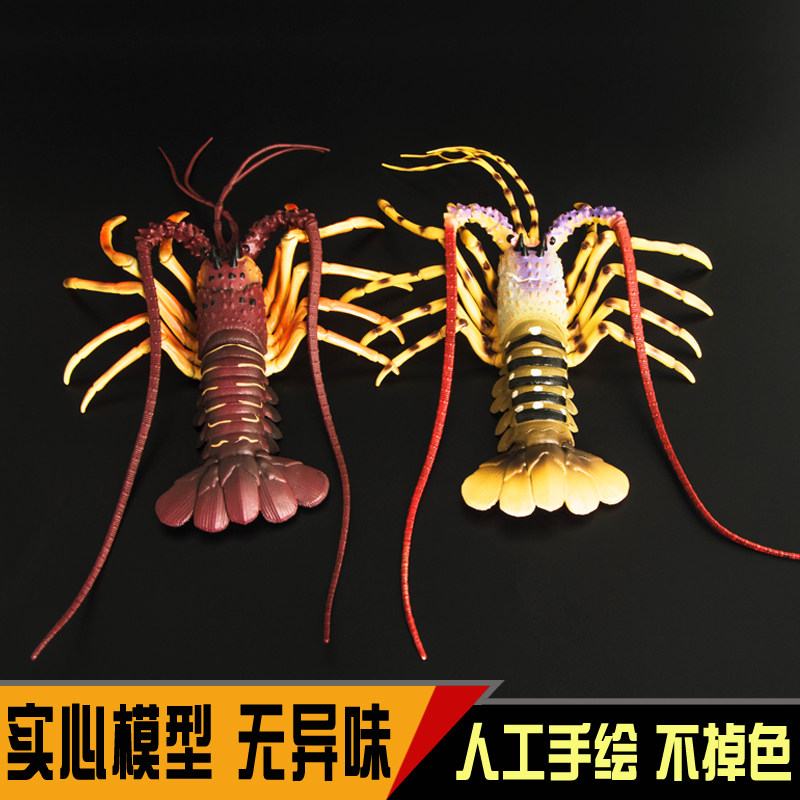 儿童仿真实心海洋海底男澳洲动物
