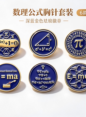 数理科学公式胸针欧拉勾股定理质能方程理科学生书包金属徽章配饰