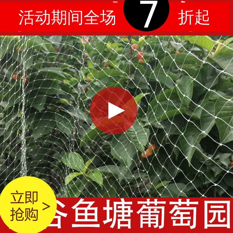樱桃树保护网防鸟防乌网果园防鸟户外果树葡萄树纱网防鸟吃网家用|ruв категории доставка цветов/цветок моделирования/растения садоводства, садовых принадлежностей, других садовых принадлежностей - от Buy2taobao.com для оказания профессиональной услуги покупки агента Taobao