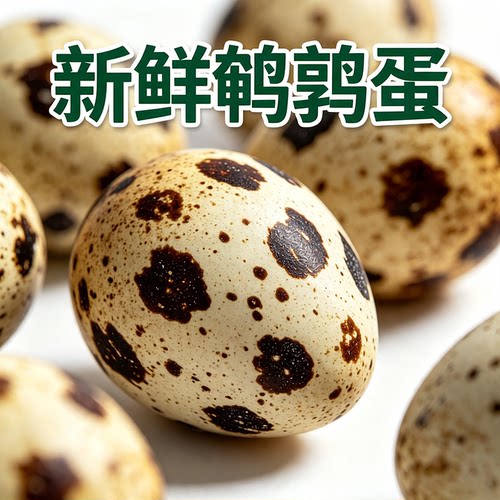 农家新鲜鹌鹑蛋现捡现发生蛋杂粮喂养宝宝辅食营养生鲜鹑蛋50枚