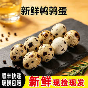 新鲜鹌鹑蛋100枚破损包赔农家杂粮喂养蛋宝宝辅食卤煮食材