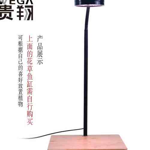 植物花卉台灯价格 植物花卉台灯图片 星期三