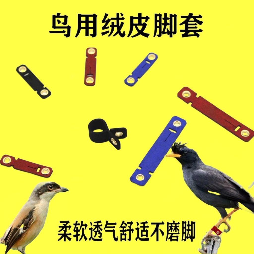 八哥脚环绒皮脚套伯劳文鸟珍珠鹩哥喜鹊专用栓鸟脚套进口绒皮脚套