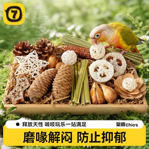 鹦鹉解闷自嗨玩具发泄磨牙耐咬啃咬小太阳牡丹虎皮通用鸟儿玩乐盒