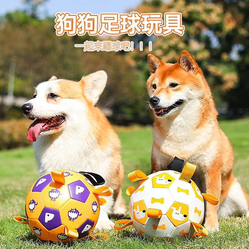 宠物玩具球狗狗户外宠物玩具发声充气足球狗玩具互动训练