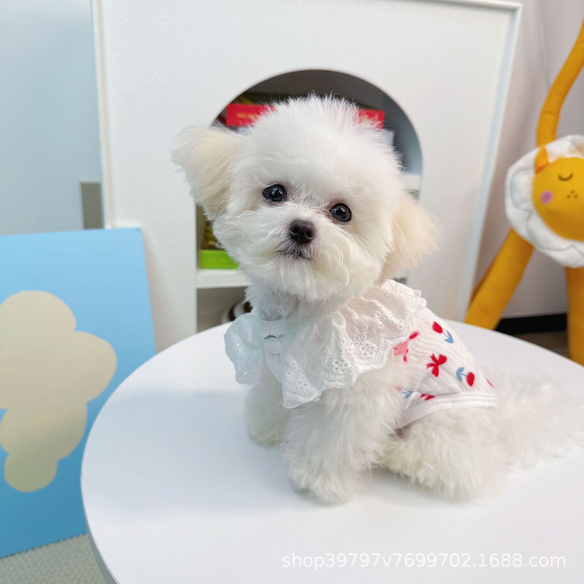 日韩春夏薄款棉质宠物狗狗猫咪衣服马甲泰迪比熊布偶猫防掉毛透气