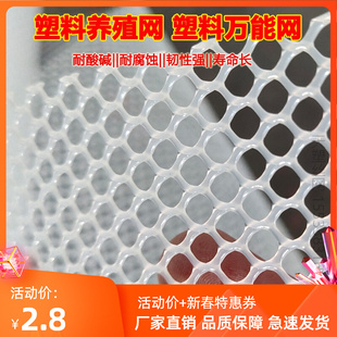 塑料网格养殖鸡笼垫脚漏粪垫网小鸡育雏养鸡专用网围栏阳台防护网